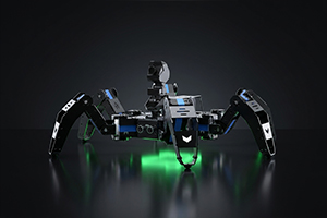 Spider Robots